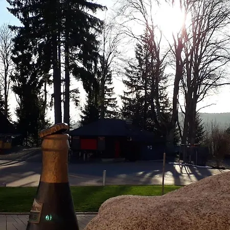 Brauereigasthof Rothaus Hotel Grafenhausen